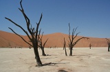 Namibia (51)